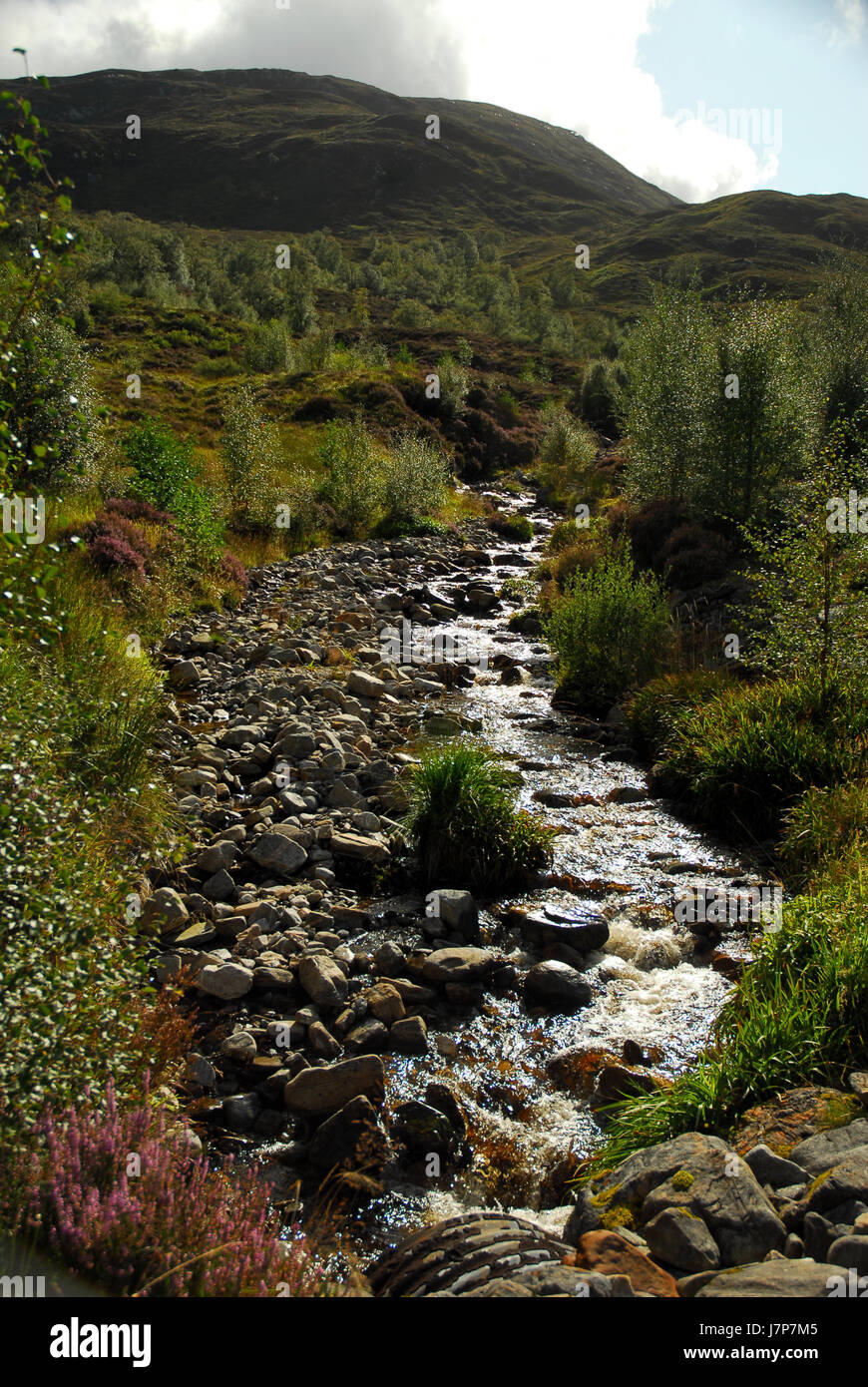 Berg Berge Wasser Stream Schottland Fluss Wasser Steinen Baum Bäume Hügel Stockfoto