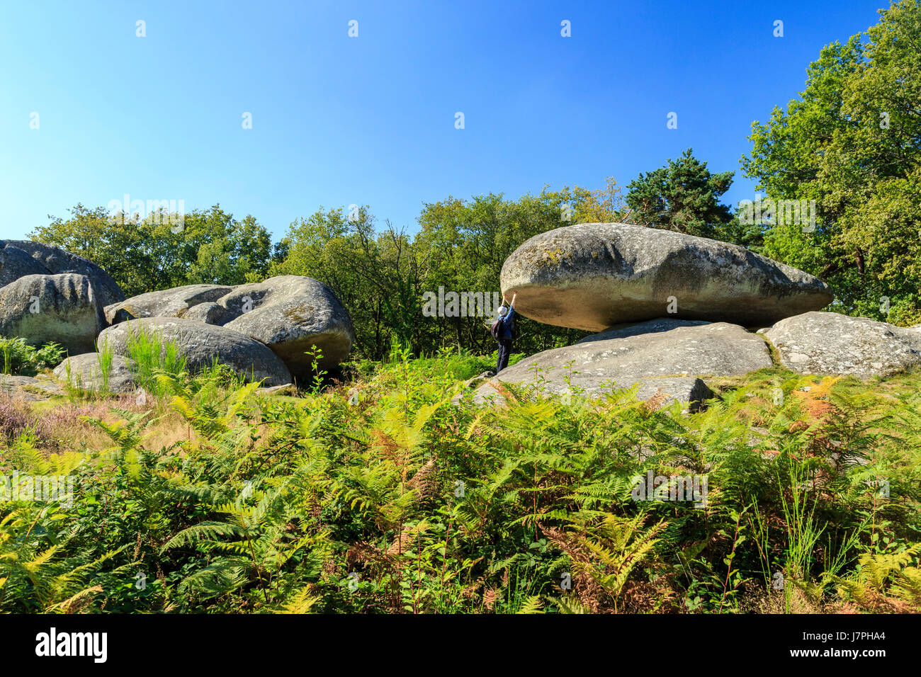 Frankreich, Creuse, Toulx Sainte Croix, Pierres Jaumatres Stockfoto