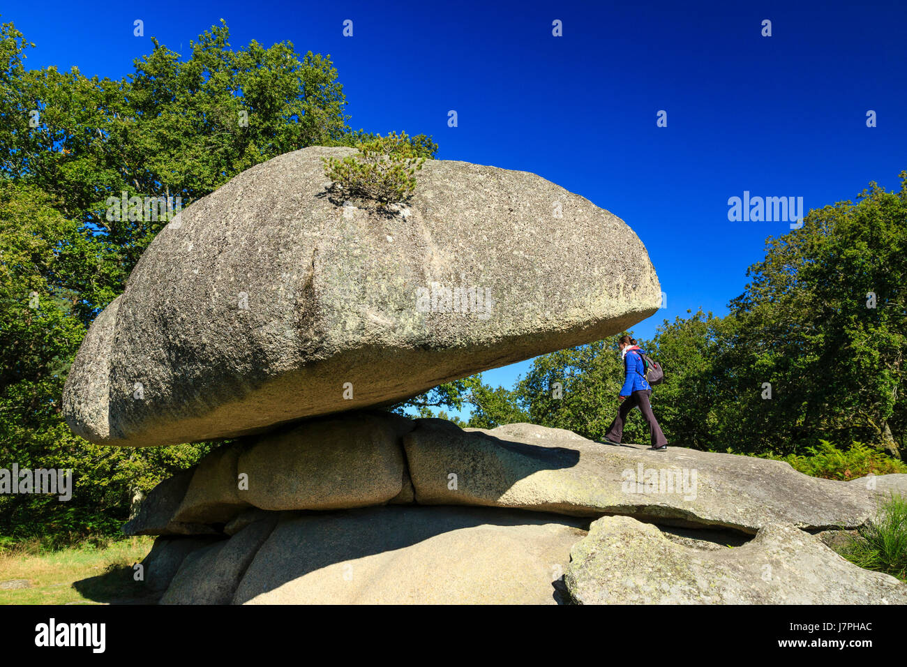 Frankreich, Creuse, Toulx Sainte Croix, Pierres Jaumatres Stockfoto