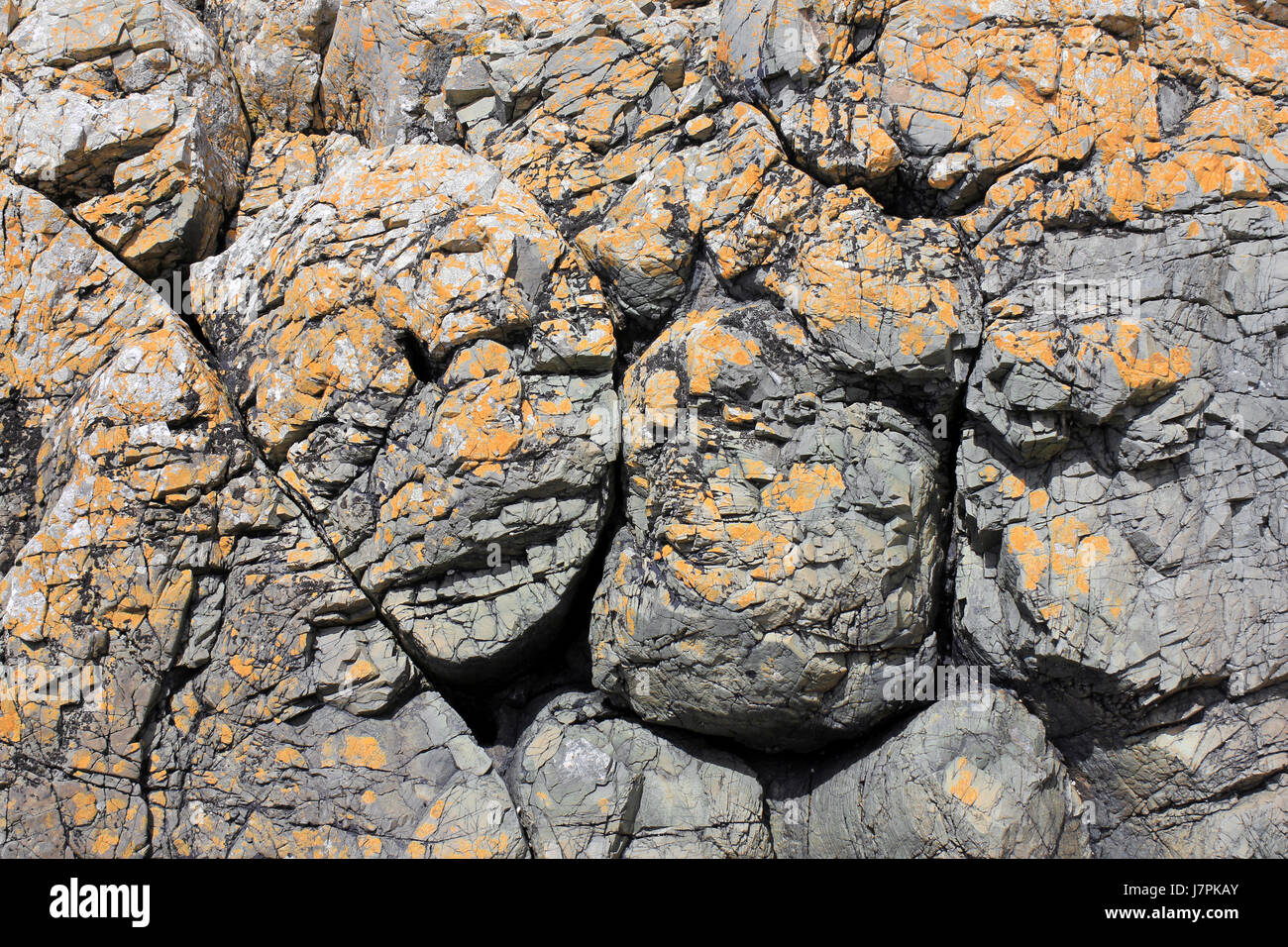 Kissen basaltische Lava auf Llanddwyn Island, Anglesey Stockfoto