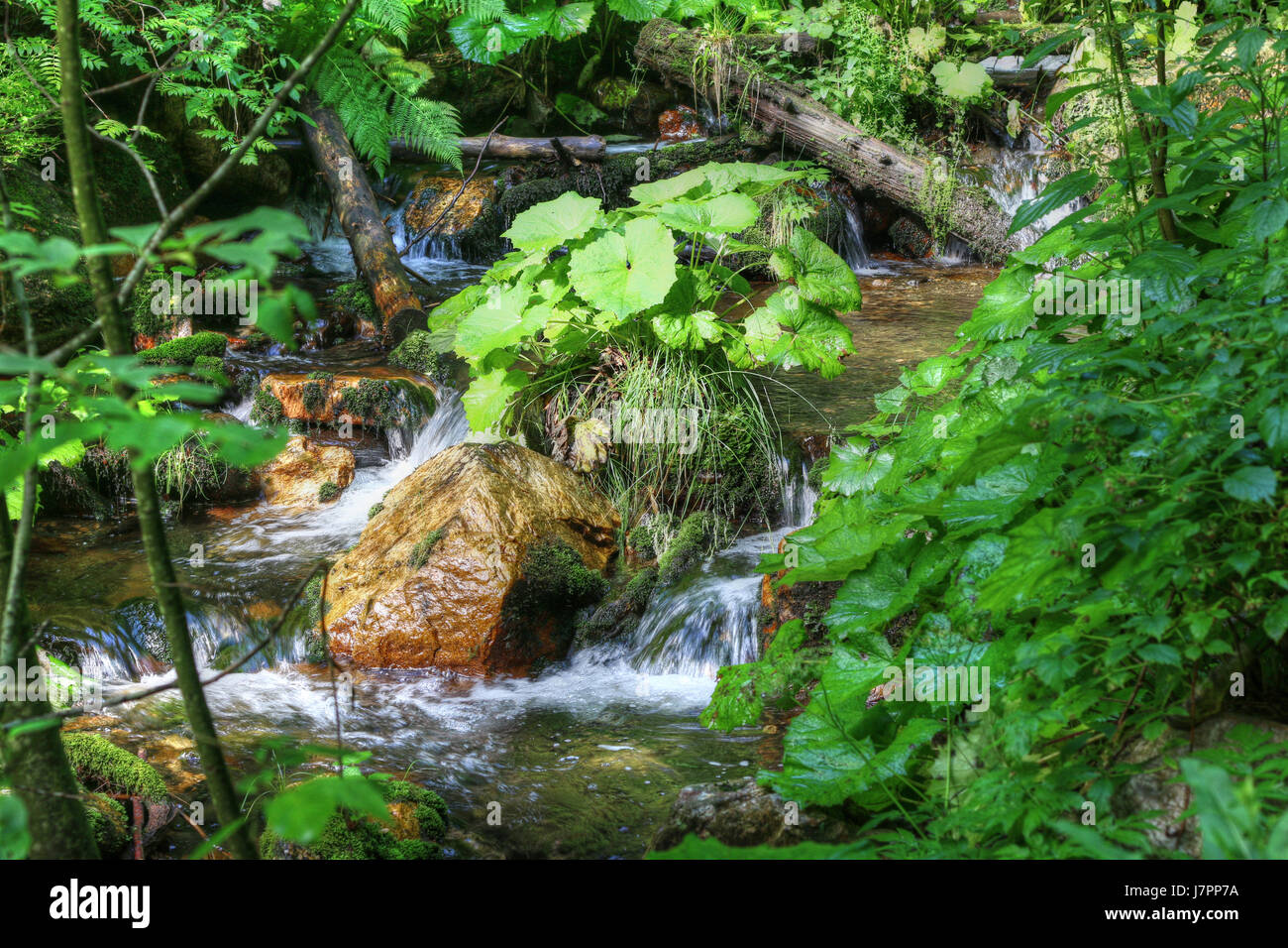 Detail des fließenden Wassers zwischen den Felsbrocken, Bila Opava, Tschechien Stockfoto