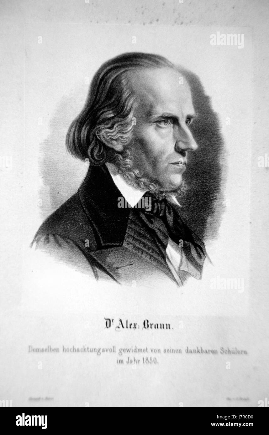 Diese Lithographie von Alexander Braun zeigt eine detaillierte künstlerische Darstellung, möglicherweise eines botanischen oder zoologischen Themas. Braun, ein deutscher Künstler aus dem 19. Jahrhundert, war bekannt für seine präzisen, wissenschaftlich fundierten naturgeschichtlichen Arbeiten. Stockfoto