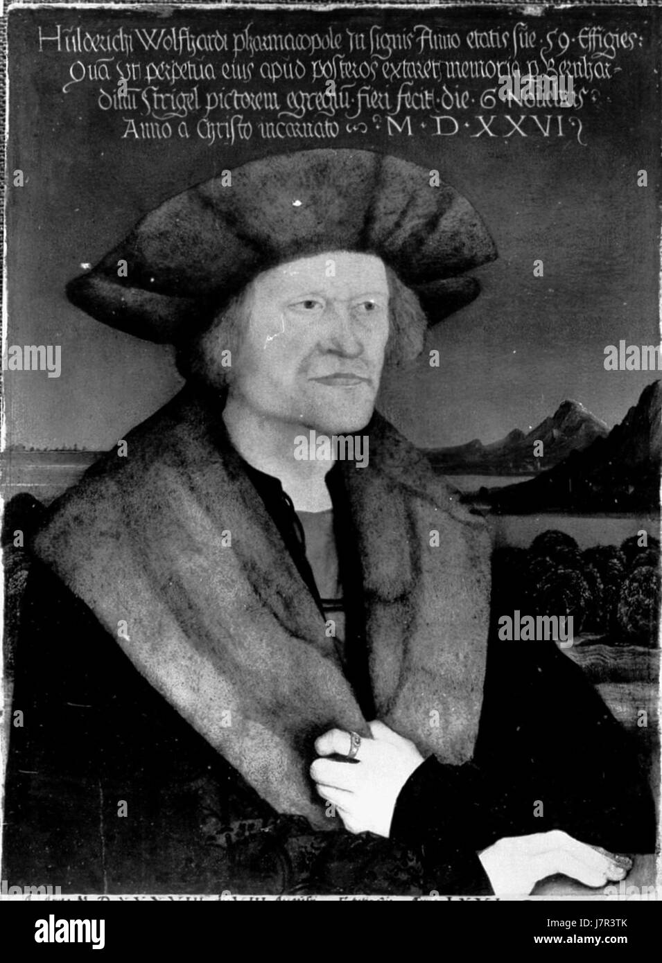 Bernhard Strigel, UNIFEM des Apothekers Holderich Wolfardt, 1526 Stockfoto