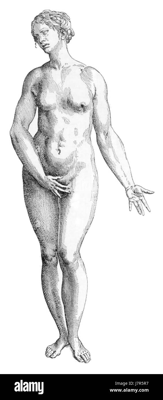 Dieser Stich von Hans Sebald Beham mit dem Titel *Weibliche Idealfigur* zeigt eine idealisierte weibliche Form aus der Renaissance. Die Gravur erforscht die künstlerische Interpretation von Schönheit und Proportionen in der historischen Kunst. Stockfoto