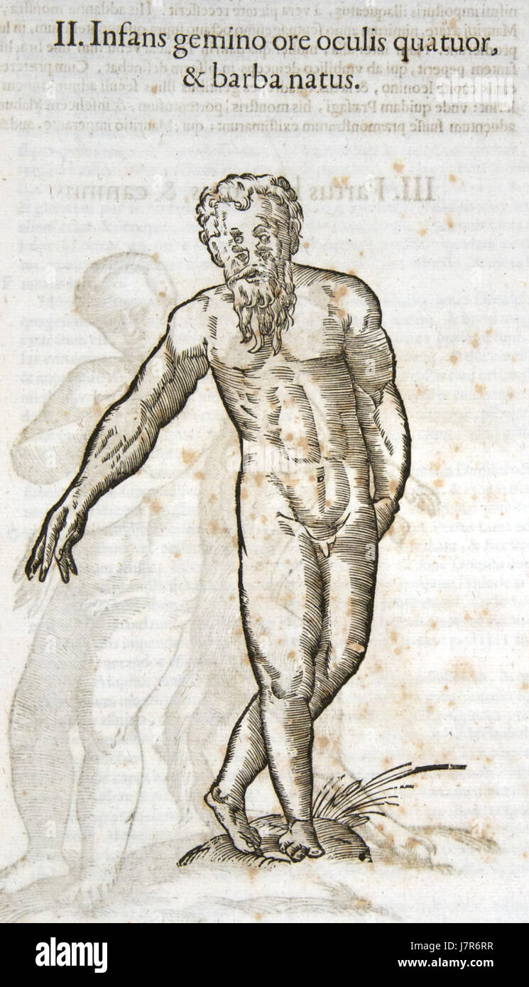 Die „Aldrovandi 0365769“ bezieht sich auf eine Illustration des berühmten Naturforschers Ulisse Aldrovandi. Aldrovandiâ Werke sind für die Entwicklung der Naturgeschichte während der Renaissance von entscheidender Bedeutung, insbesondere in der Zoologie und Botanik. Stockfoto