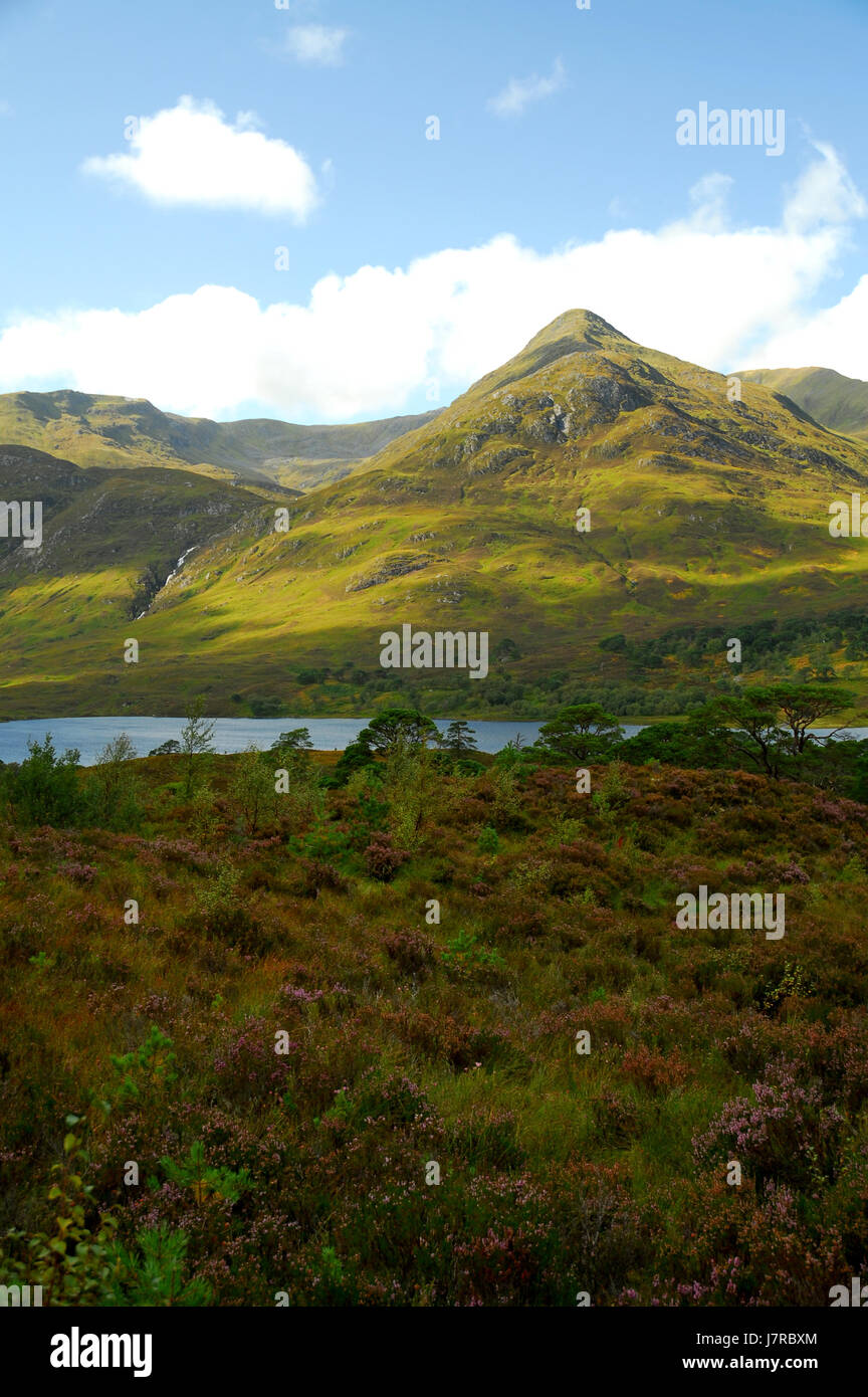 Highland Farben Stockfoto