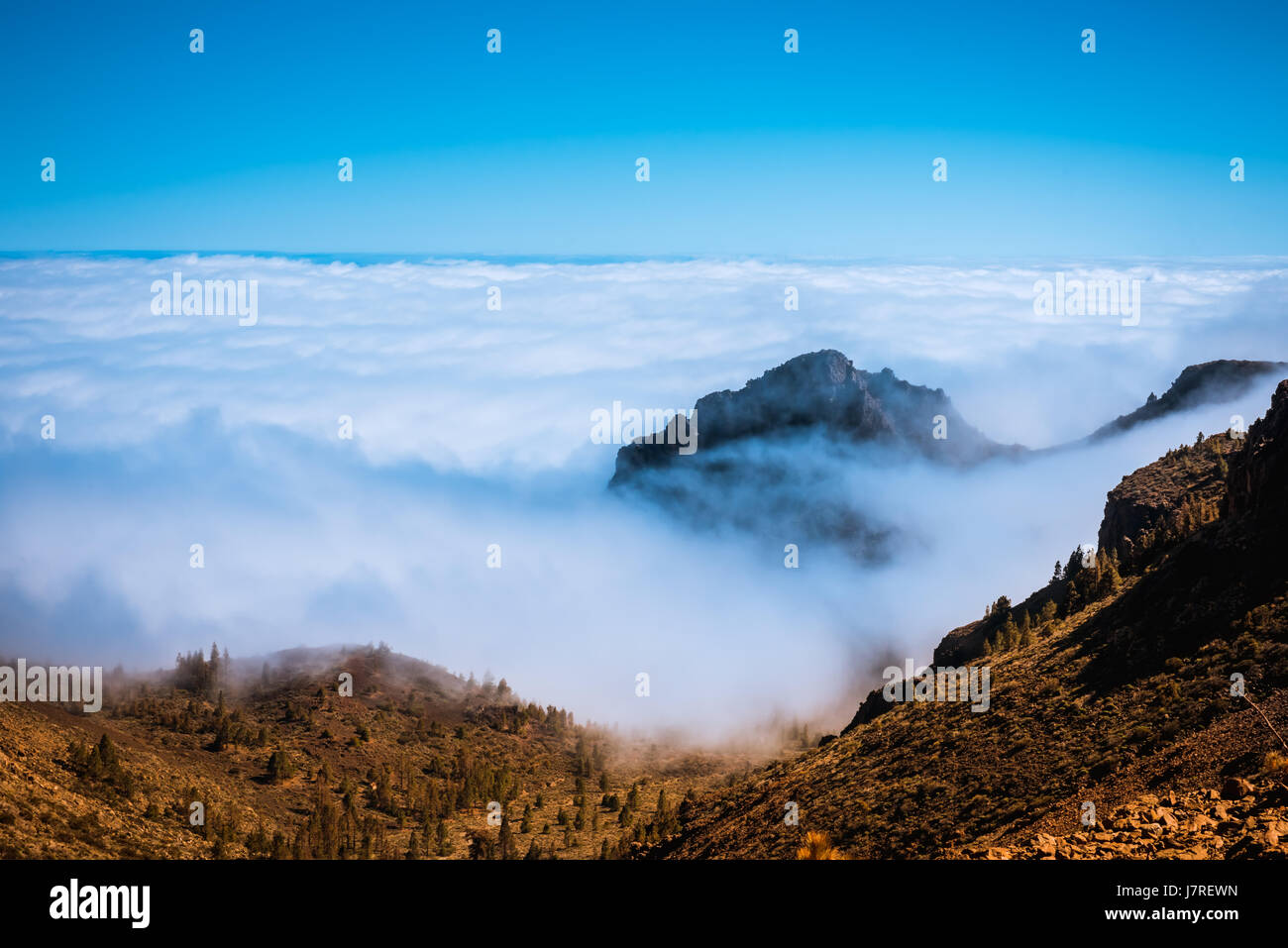 Lavalandschaft Vulkan Teide Teneriffa Kanarische Stockfoto