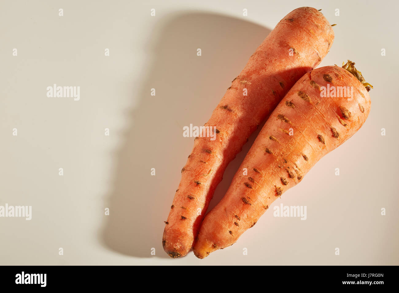 Große, ganze Karotten Stockfoto