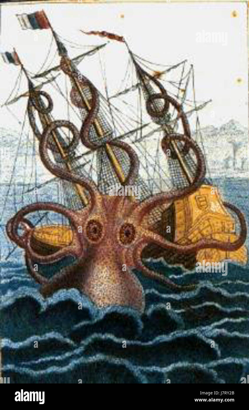 Kolossale Oktopus von Pierre Denys de Montfort Stockfoto