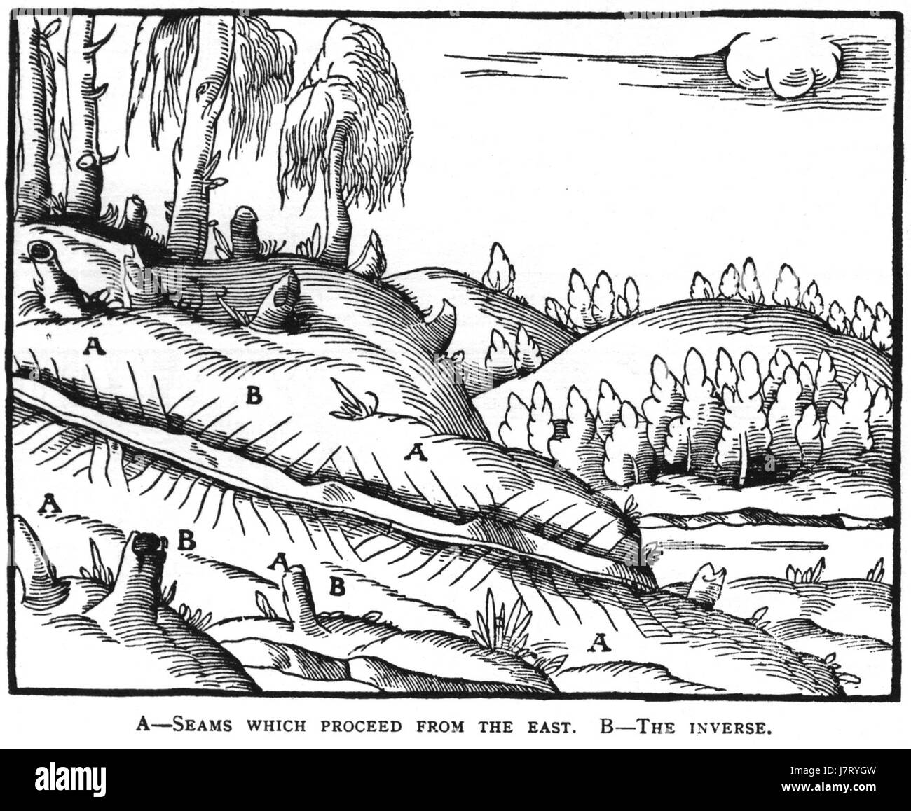 Dieser Titel bezieht sich auf ein literarisches Werk, jedoch sind keine spezifischen Details zum Inhalt verfügbar. Es kann Teil einer Serie oder einer Sammlung von Werken sein, die sich auf ein bestimmtes Thema oder Thema konzentrieren. Stockfoto