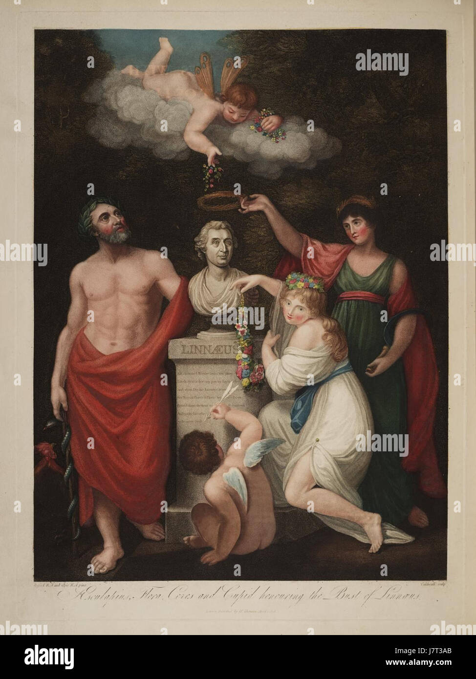 Aesclepius, Flora, Ceres und Amor die Büste von Carl von Linné zu Ehren Stockfoto
