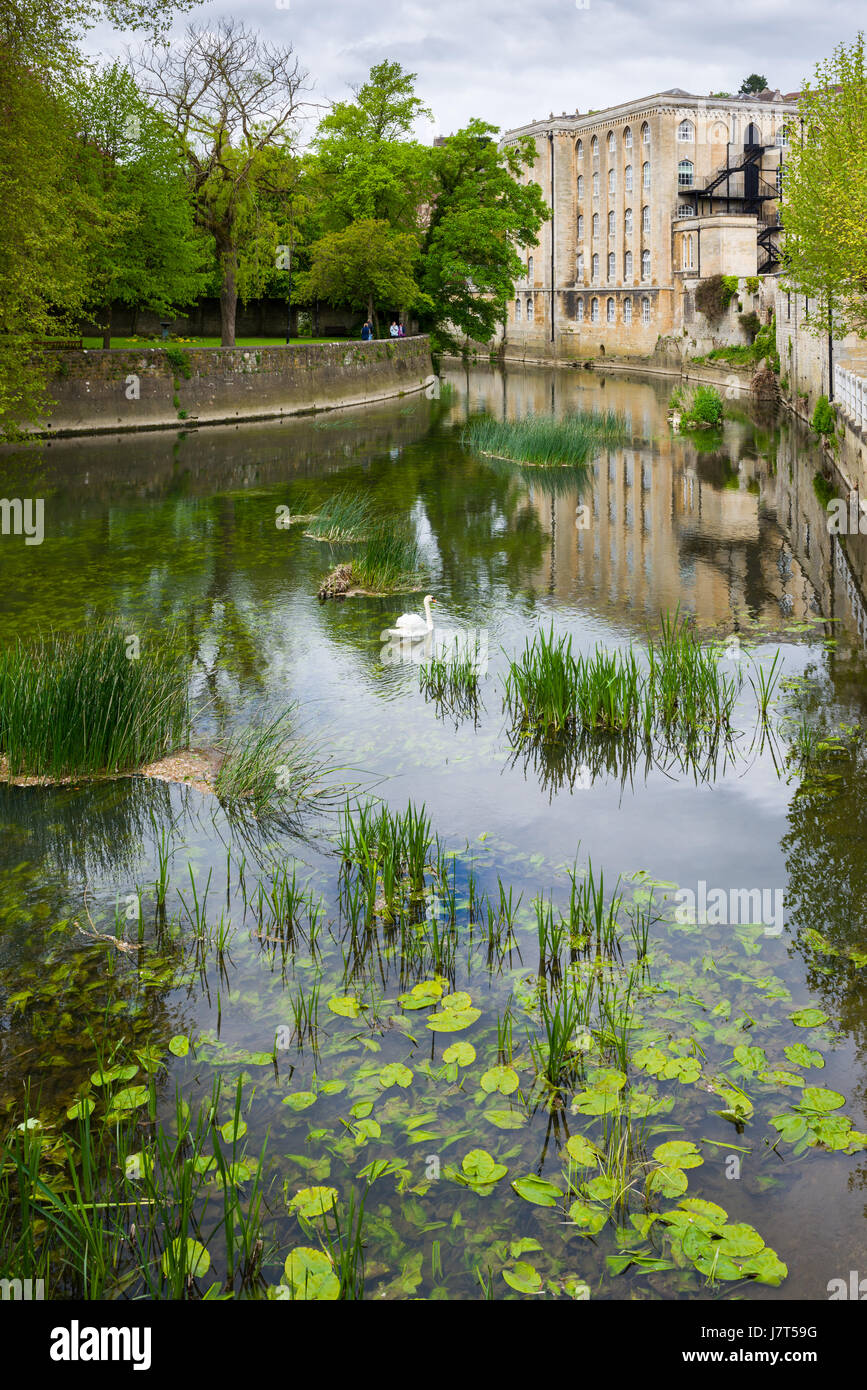 Der Fluss Avon und Abtei Mühle in Bradford on Avon, Wiltshire, England. Stockfoto