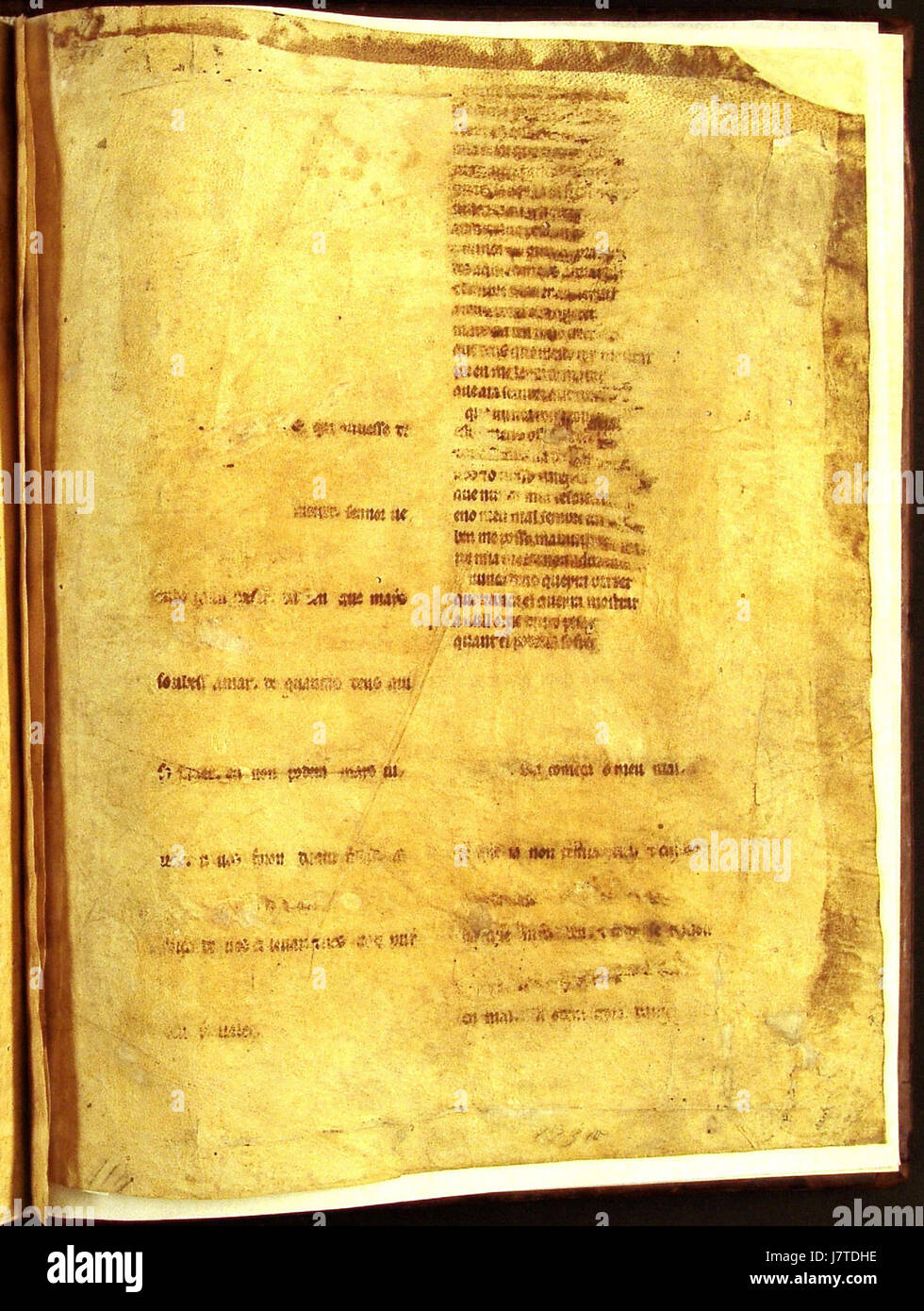 Cancioneiro da Ajuda 253 ist eine Handschrift aus dem späten Mittelalter, die portugiesische mittelalterliche Musik und Texte enthält und Einblicke in kulturelle Traditionen des 15. Jahrhunderts bietet. Stockfoto