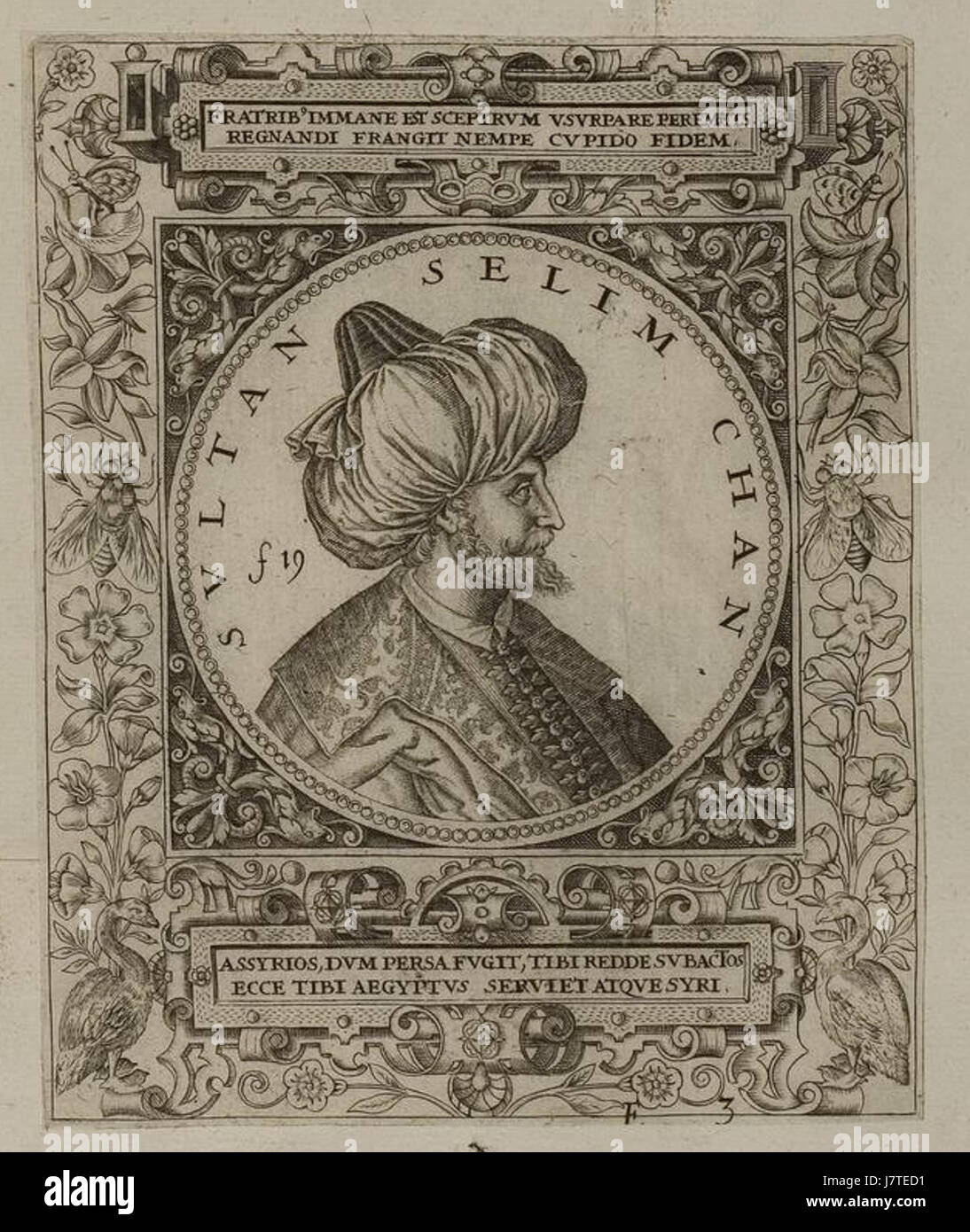 Arolsen Klebeband 01-457-4 Stockfoto