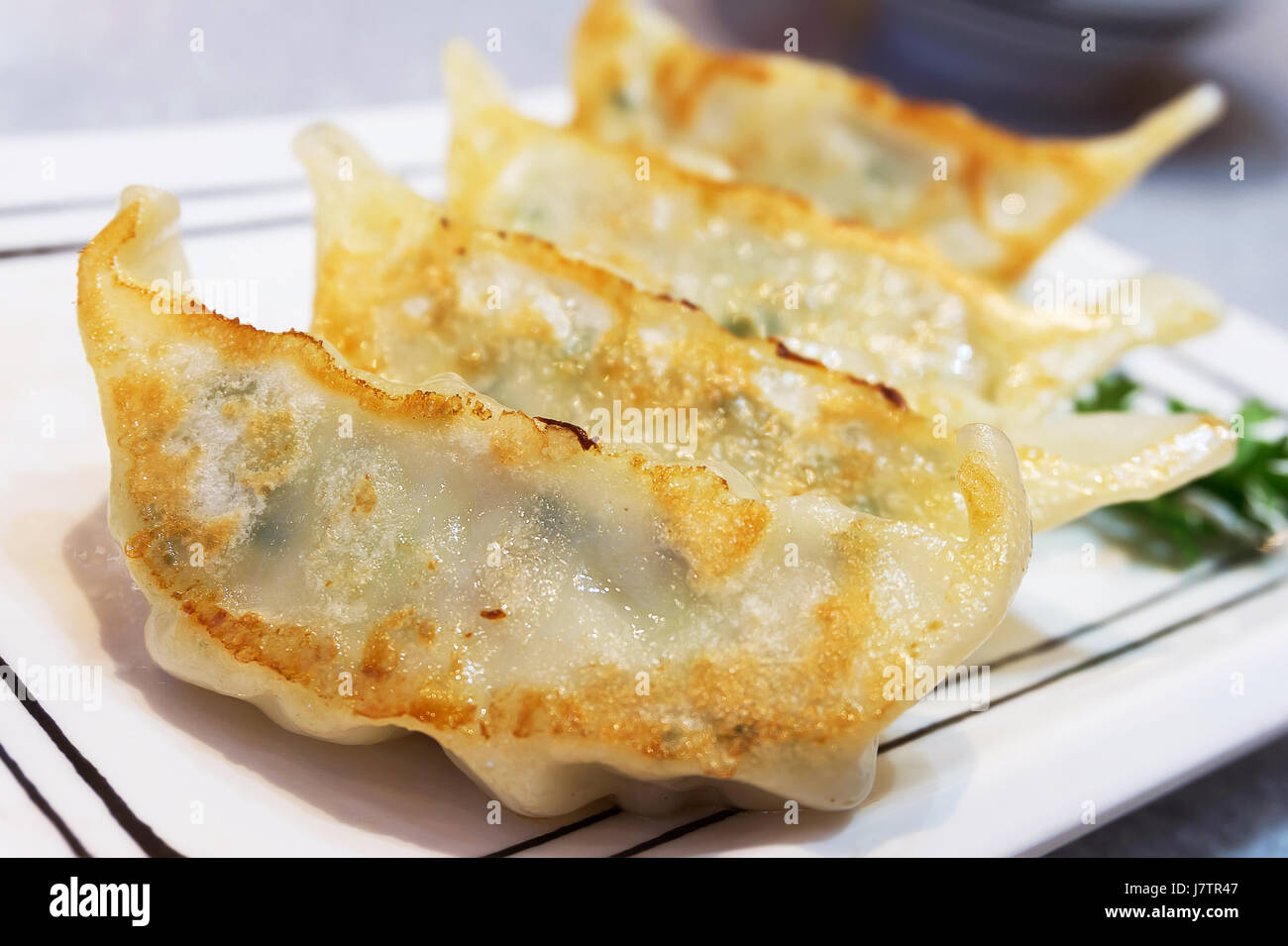 Gyoza oder japanische Gebratene Knödel auf weißen Teller mit selektiven Fokus Punkt Stockfoto