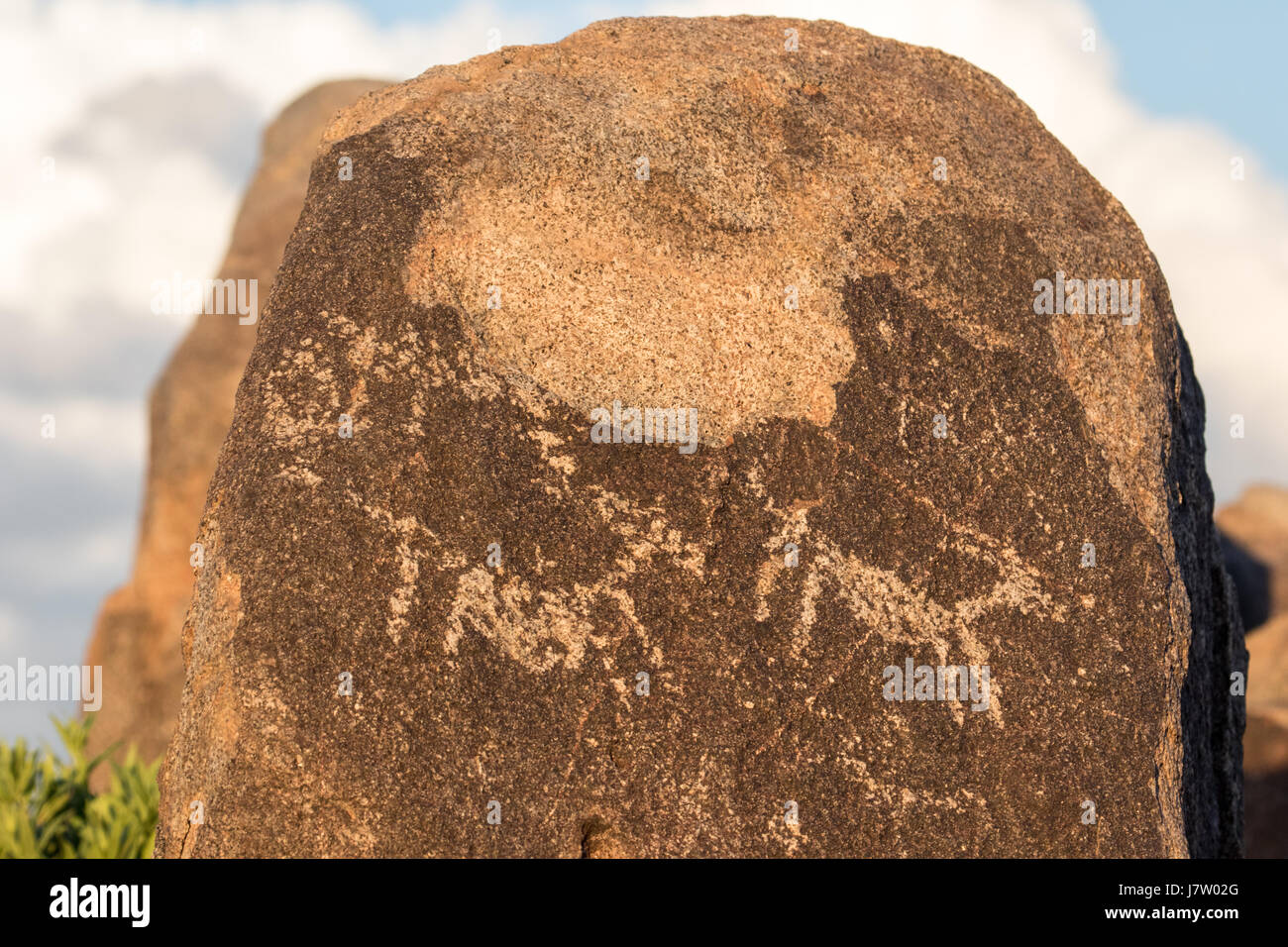Petroglyphen auf einem Felsen im Saguaro National Park Stockfoto