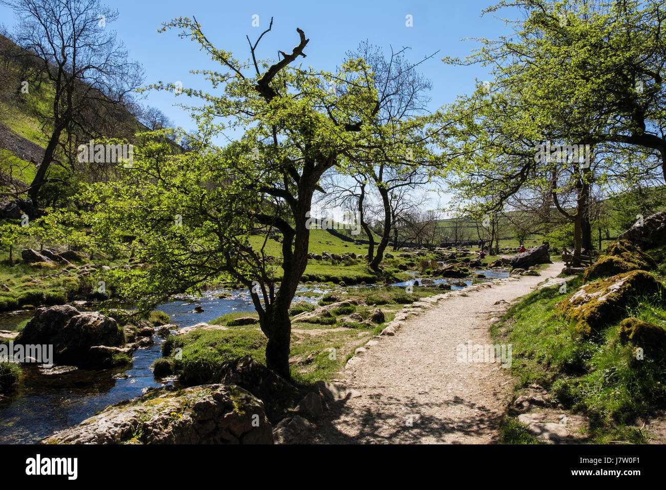 Wanderweg neben Malham Beck bei Malham Cove, Malhamdale, Yorkshire Dales National Park, North Yorkshire, England, UK, Großbritannien Stockfoto