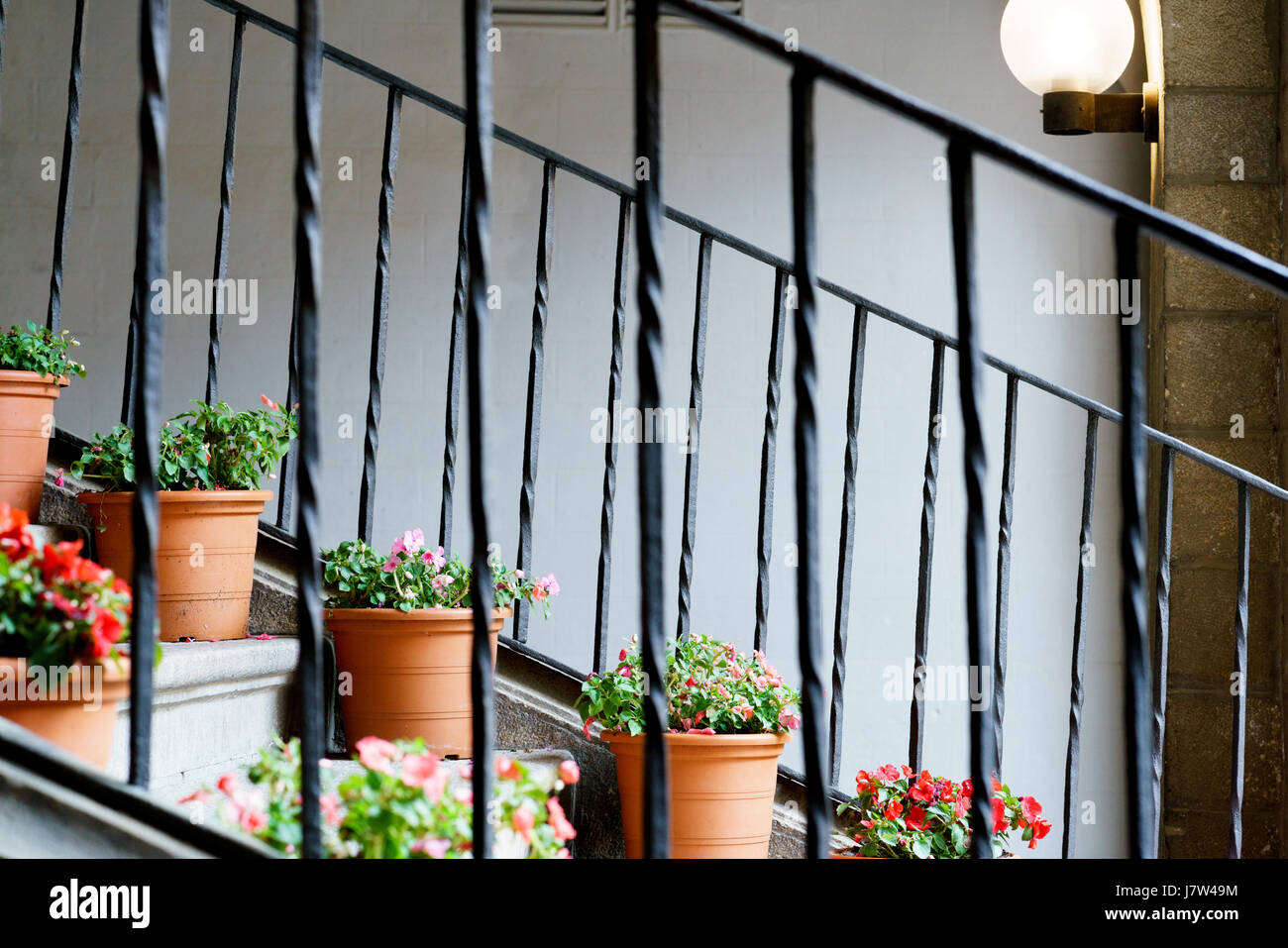 Treppen mit bunten Blumen Stockfoto