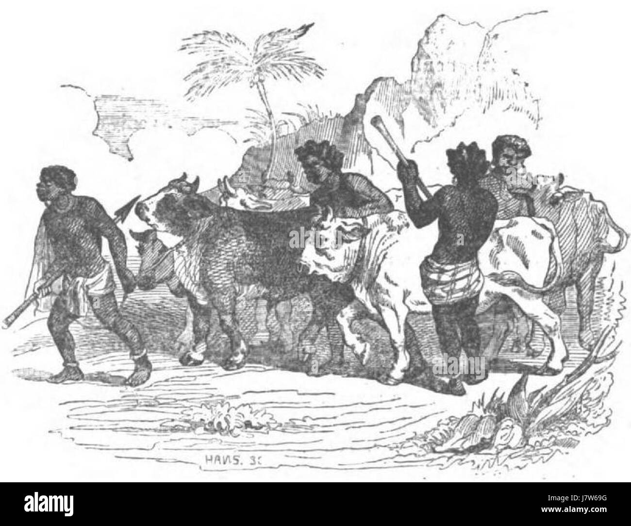 Avventure di Robinson Crusoe ist die italienische Version des Romans Robinson Crusoe, der die Geschichte des Schiffbrüchigen und seines Überlebens erzählt. Das Buch beschäftigt sich mit den Themen Abenteuer, Überleben und Isolation. Stockfoto