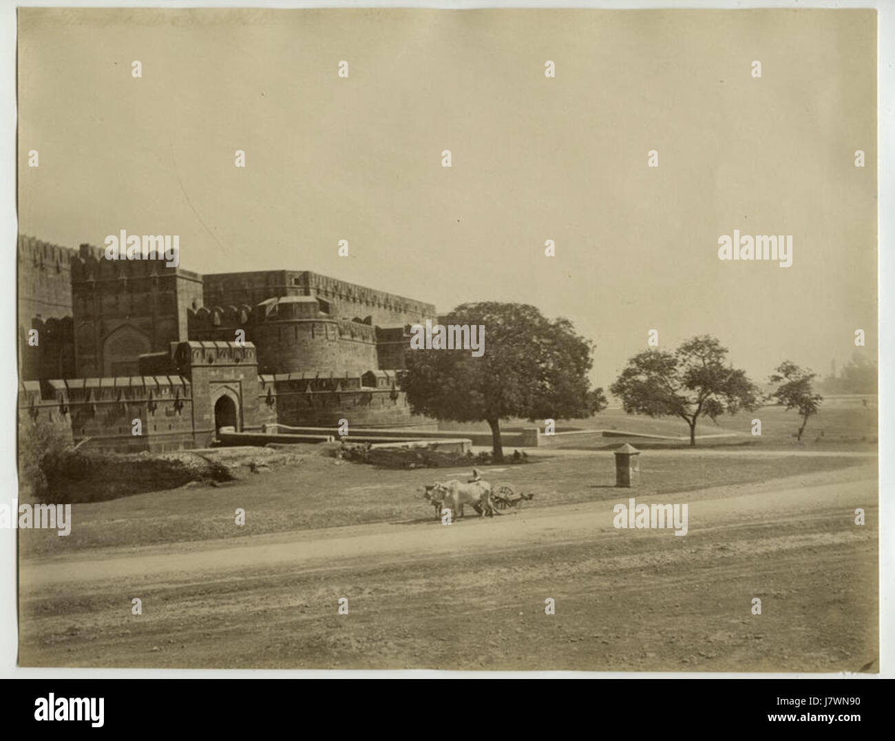 Ochsenkarren vor Agra Fort in den 1870er Jahren Stockfoto