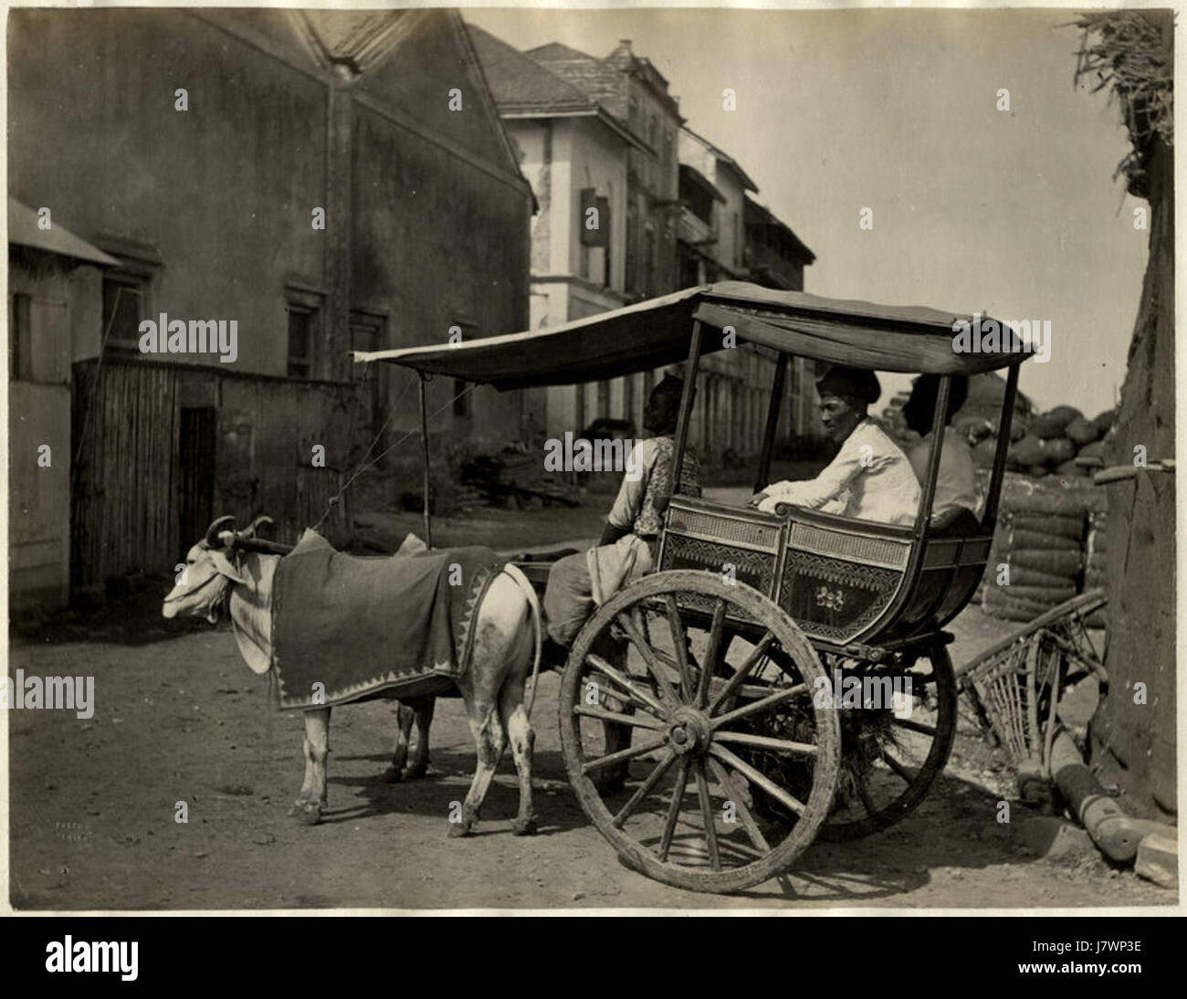 Ein Ochsenkarren in Bombay in den 1870er Jahren Stockfoto