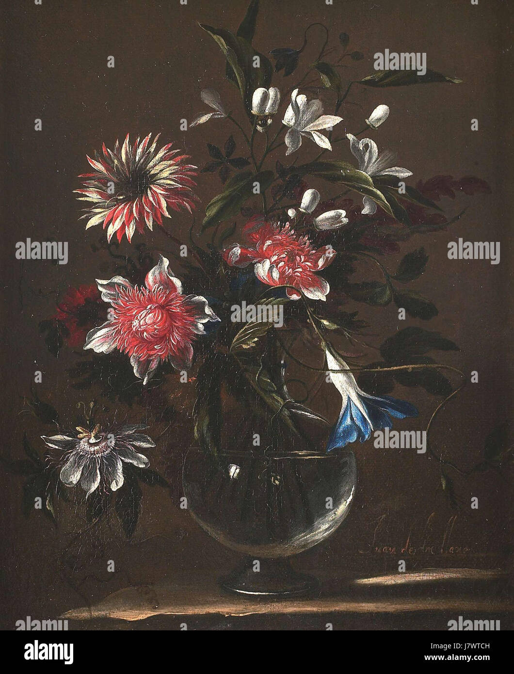 "Vase mit Blumen" von Juan de Arellano, Öl auf Leinwand, 35 x 42 cm Stockfoto