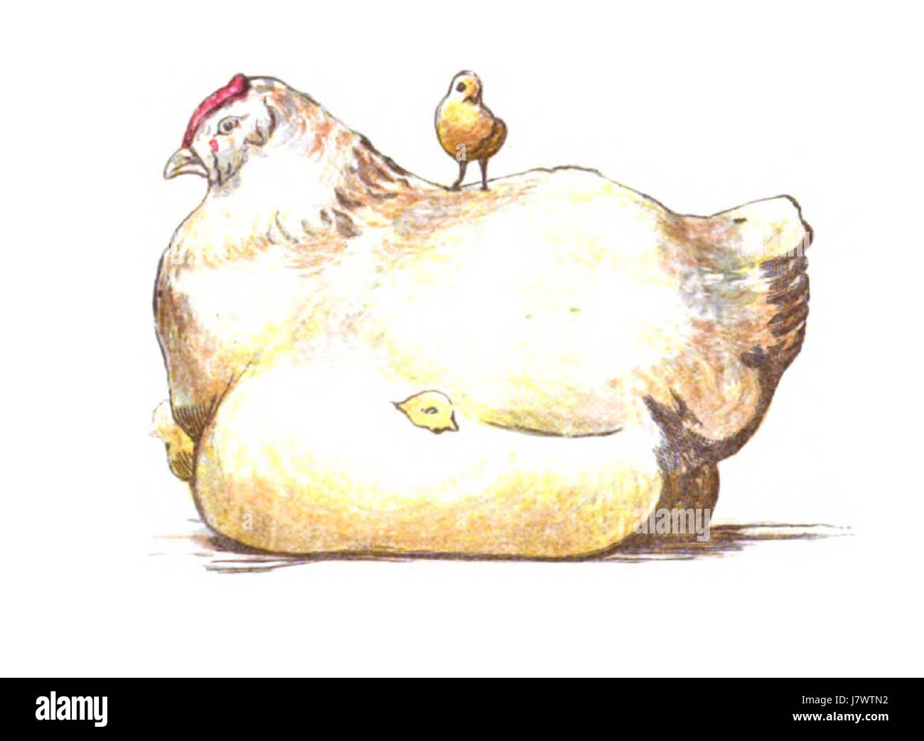 Am Nachmittag Tee 1880 Huhn Stockfoto