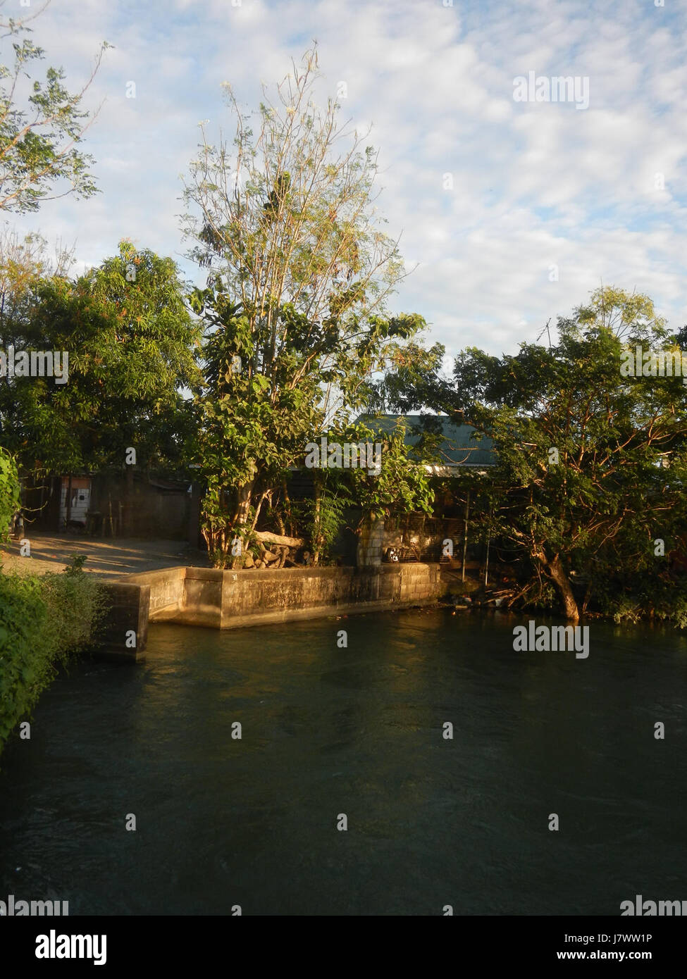 Das Bild zeigt eine ländliche Landschaft in Sabang, Baliuag, Bulacan, mit üppigen Reisfeldern und Grasland mit Bewässerungssystemen. Die Szene umfasst Bäume, Häuser und eine Straßenbrücke, die das Gleichgewicht zwischen Natur und Infrastruktur in der Region veranschaulicht. Stockfoto