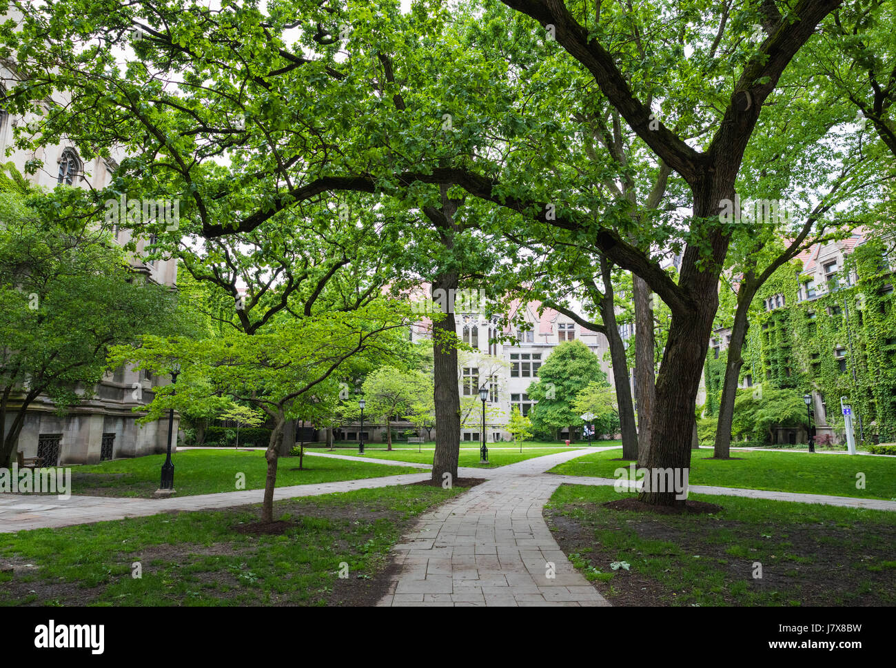 University of Chicago Stockfoto