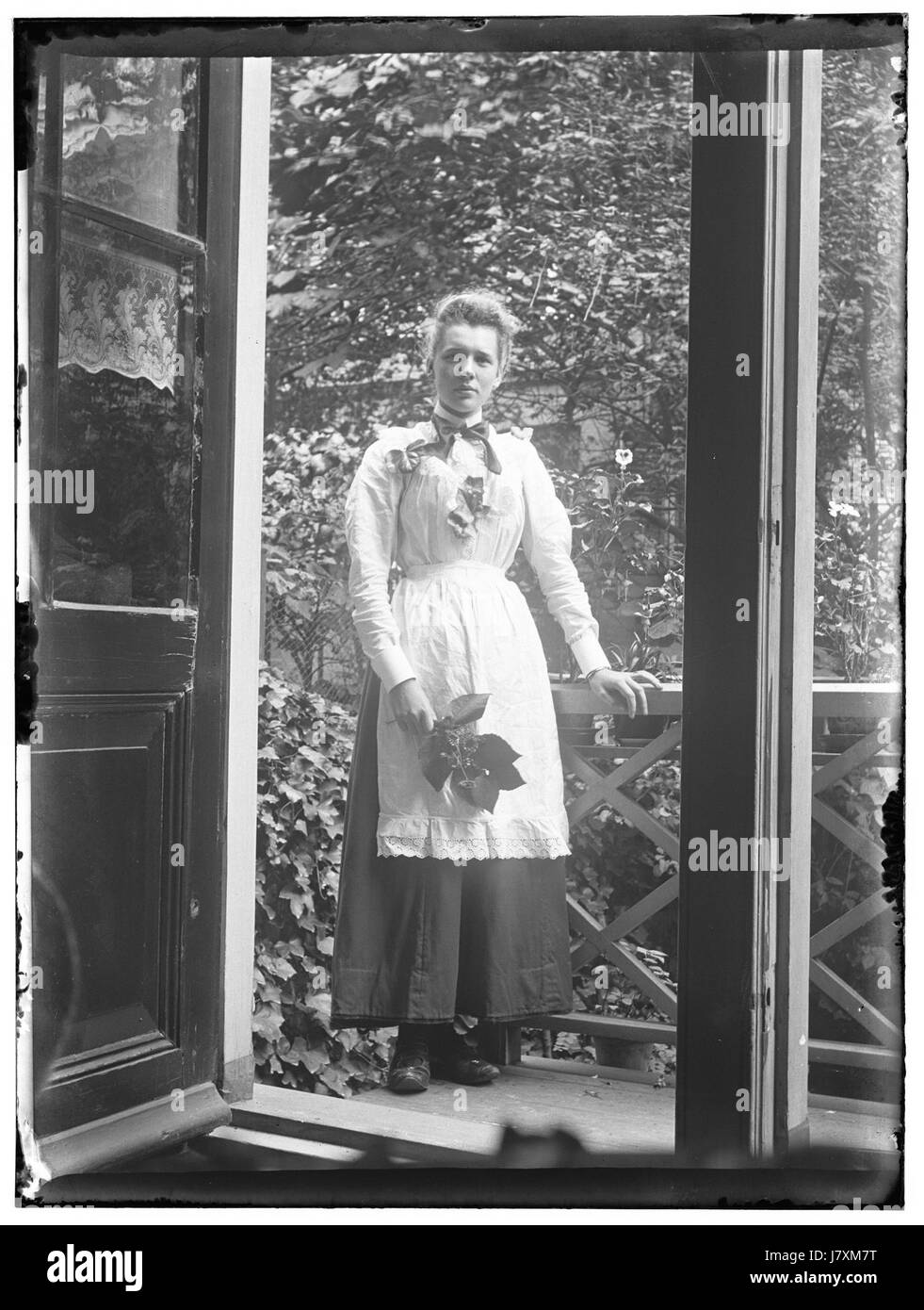 Das ist ein hochauflösendes Foto von Aagje Olie in ihrem Garten. Das Bild fängt einen persönlichen und intimen Moment ein, zeigt die natürliche Schönheit der Umgebung und spiegelt möglicherweise das Leben oder die Aktivitäten der individualâ im Garten wider. Stockfoto
