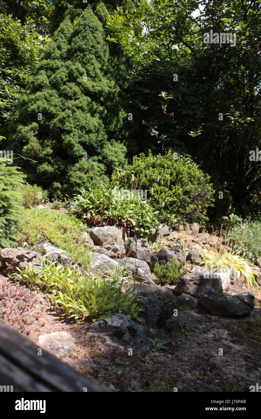 2010.06.27 Borotin 159 Stockfoto