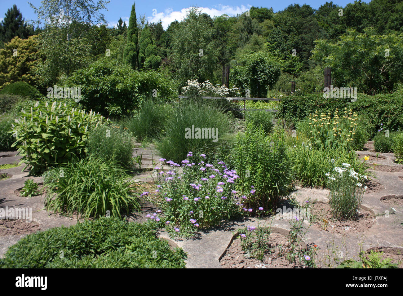 Dieses Foto, aufgenommen am 27. Juni 2010, zeigt eine malerische Aussicht auf Borotin, ein Dorf oder eine Stadt, die seine Landschaft und lokale Besonderheiten betont. Es kann die natürliche Umgebung oder die Architektur der Gegend hervorheben. Stockfoto