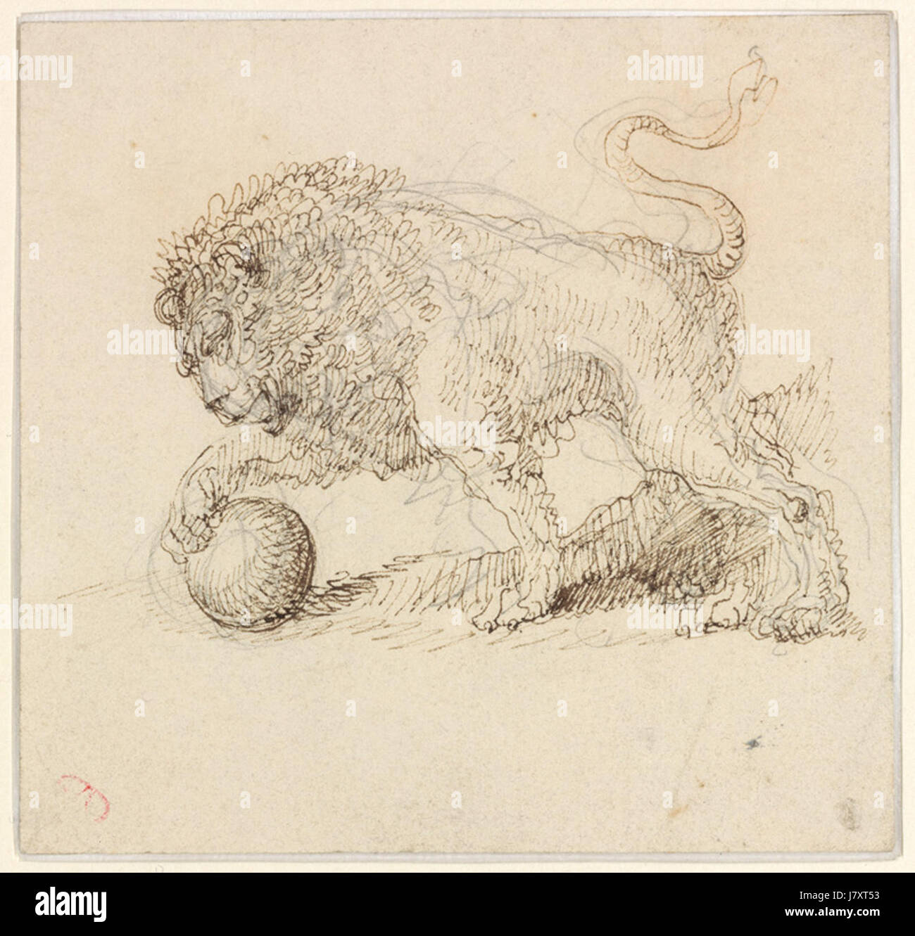 Der Bison Medici Löwe ist eine bekannte Skulptur aus der Medici Sammlung, die einen mächtigen Löwen in detaillierter klassischer Kunst darstellt. Dieses Kunstwerk ist ein Symbol für Stärke und Kunstfertigkeit, das oft für seine Handwerkskunst bewundert wird. Stockfoto