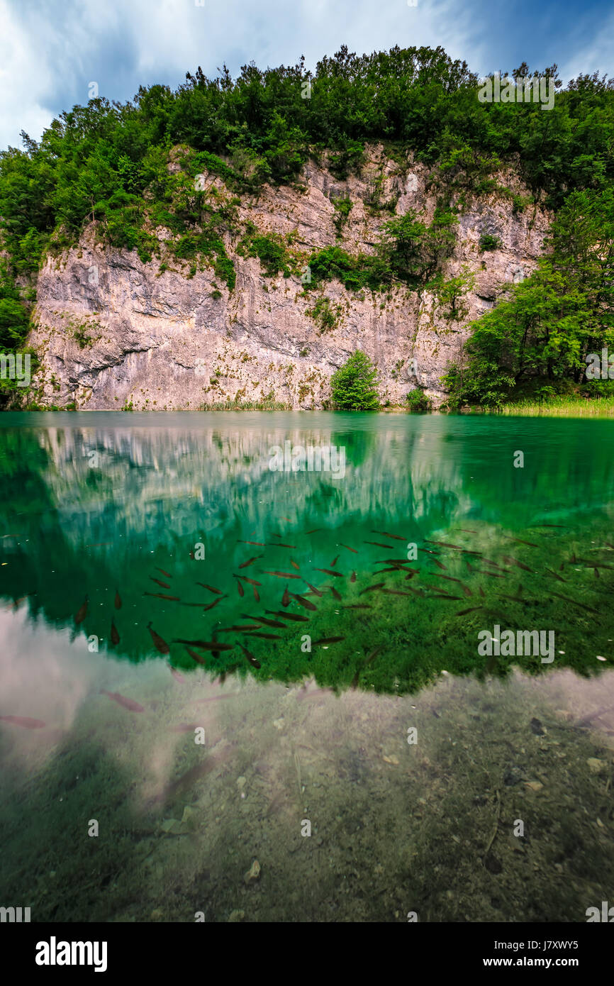 Fisch in türkisfarbenem kristallklarem Wasser der Plitvicer Seen, Nationalpark, Kroatien Stockfoto