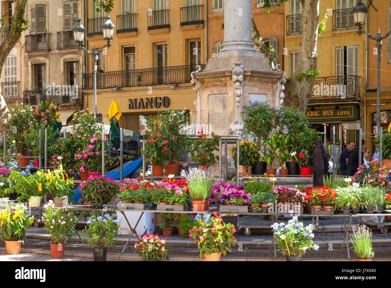 Wöchentliche Blumenmarkt am Place de l ' Hotel de Ville, Aix France Stockfoto