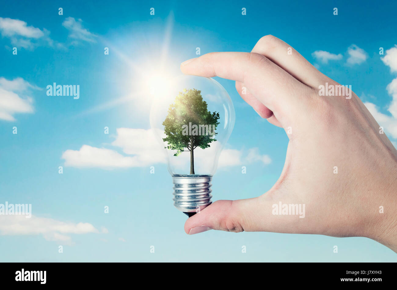 Energie-Effizienz-Konzept. Abstrakte Komposition mit Baum Birne auf Natur Hintergrund Stockfoto