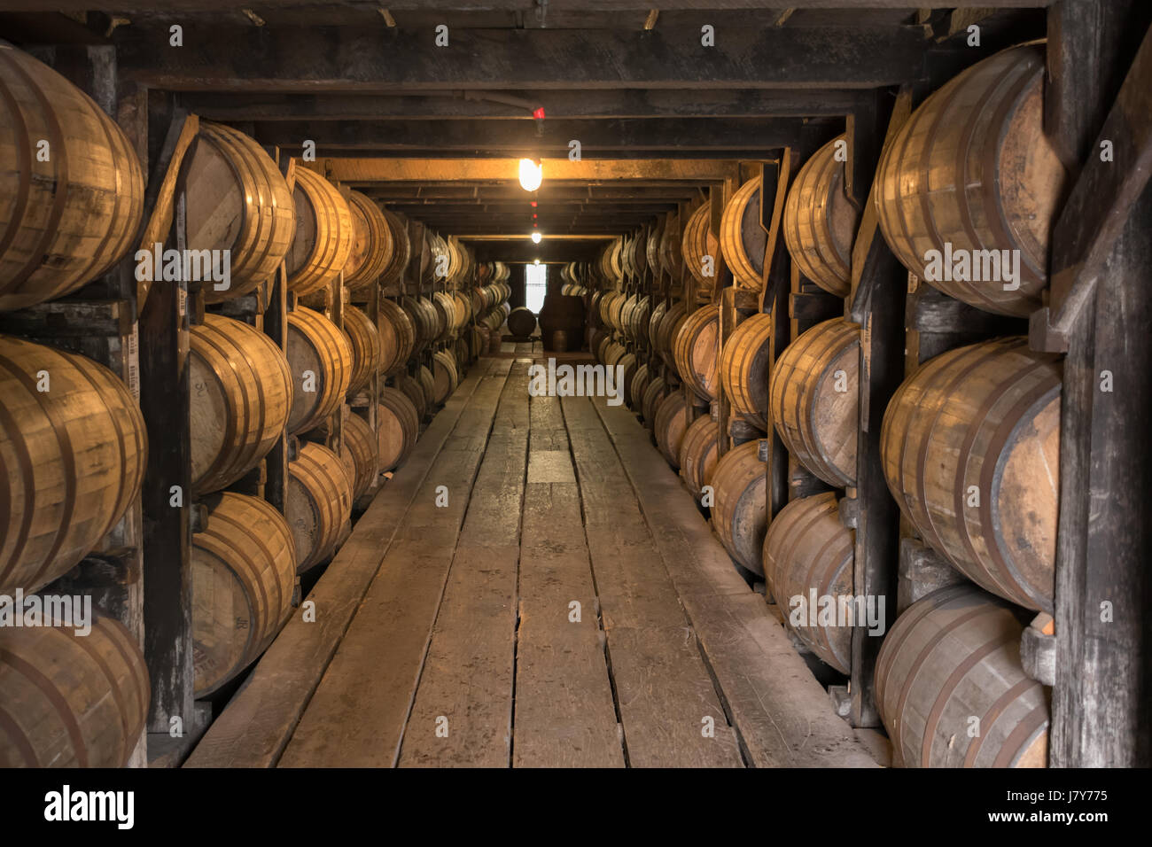 Auf der Suche auf Gehweg in Bourbon Altern Lager Keller Stockfoto