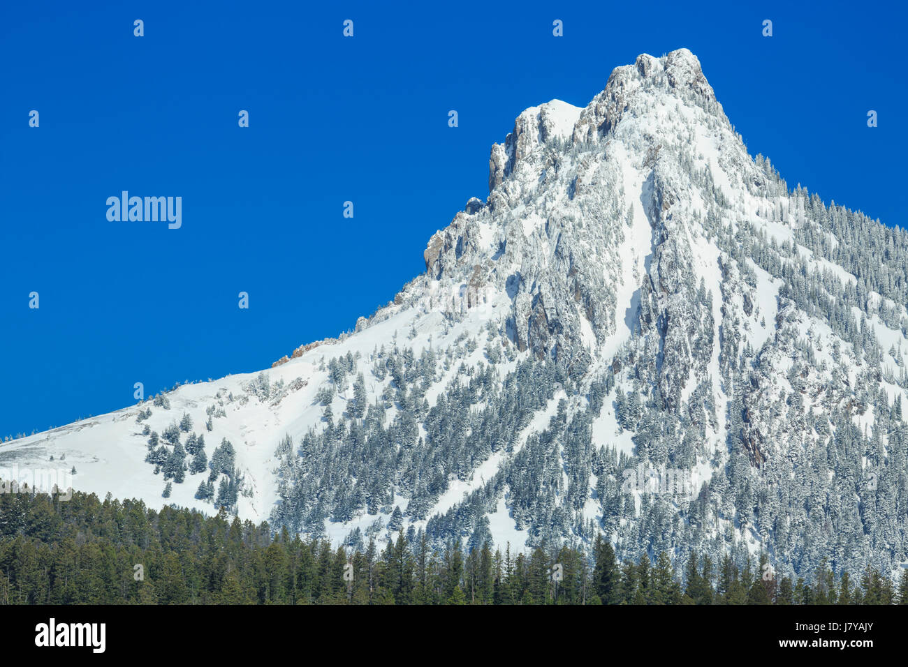 Ross Peak in der Bridger Bereich des Gallatin National Forest in der Nähe von Bozeman, montana Stockfoto