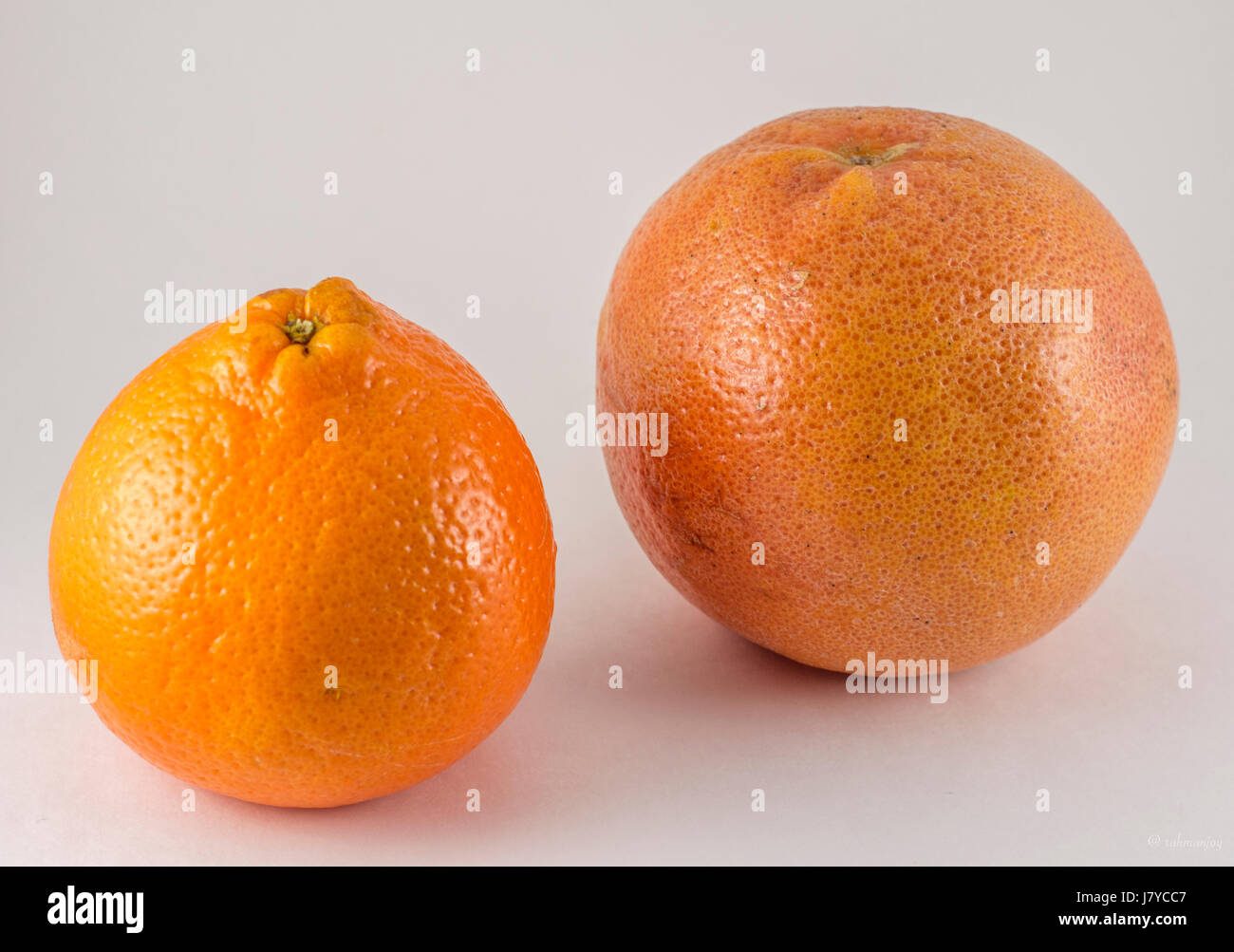 Grapefruit und orange Stockfoto