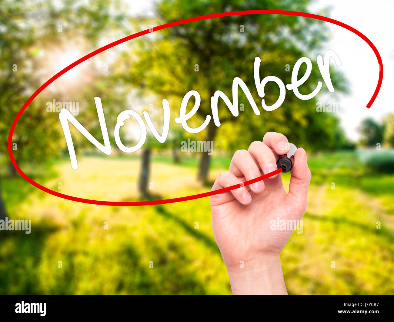 Hand des Mannes November mit schwarzem Filzstift auf Bildschirm zu schreiben. Auf Hintergrund isoliert. Wirtschaft, Technologie, Internet-Konzept. Stock Foto Stockfoto