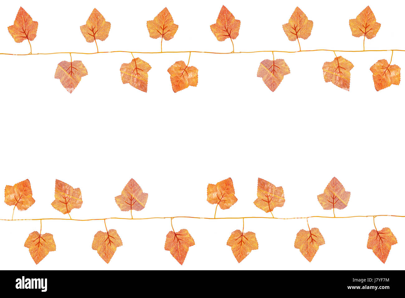 Künstliche Kunststoff Ahornblatt. Studio gedreht isolierten auf weißen Hintergrund Stockfoto