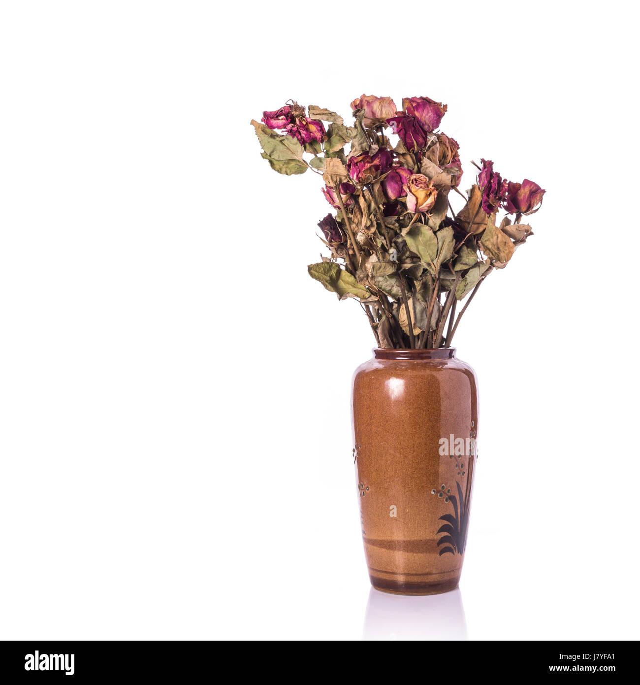 Braune trockene rose Blume mit Blatt. Studio gedreht isolierten auf weißen Hintergrund Stockfoto