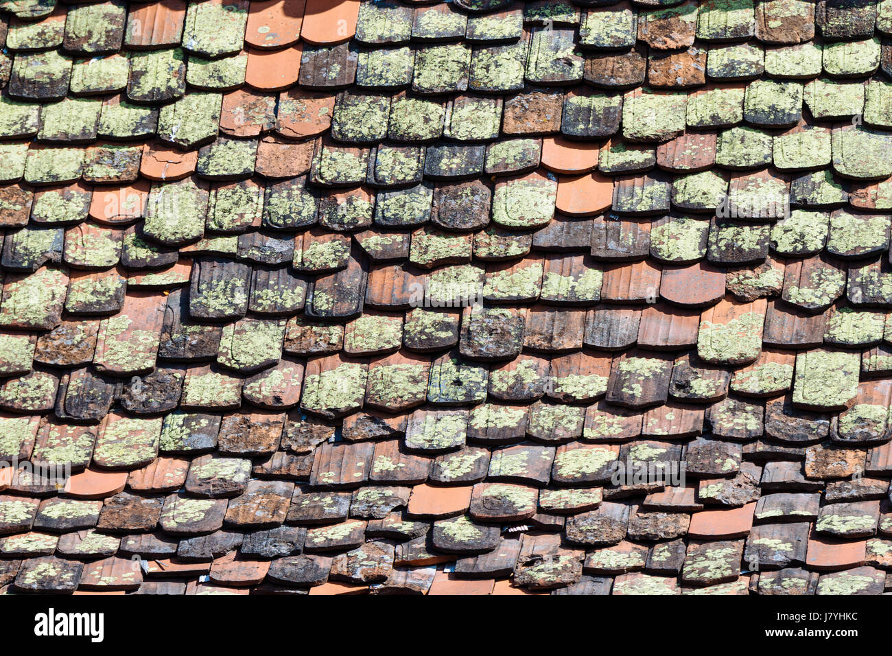 Moosigen Dachziegel, altes Dach, Detail, Deutschland Stockfoto