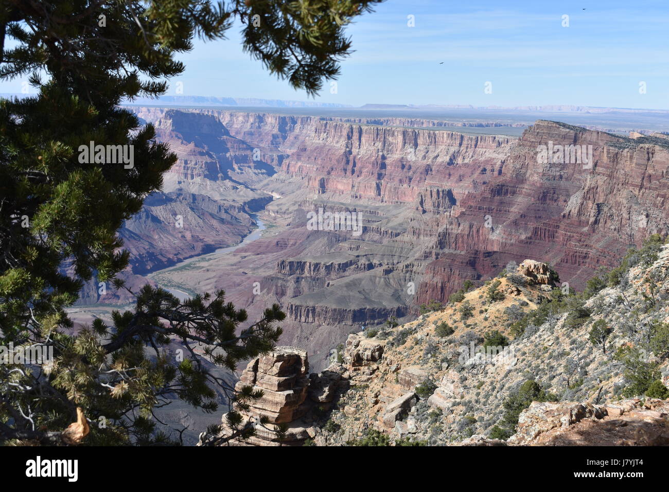 Die schönen North Rim des Grand Canyon National Park in Arizona, U.S.A. Stockfoto