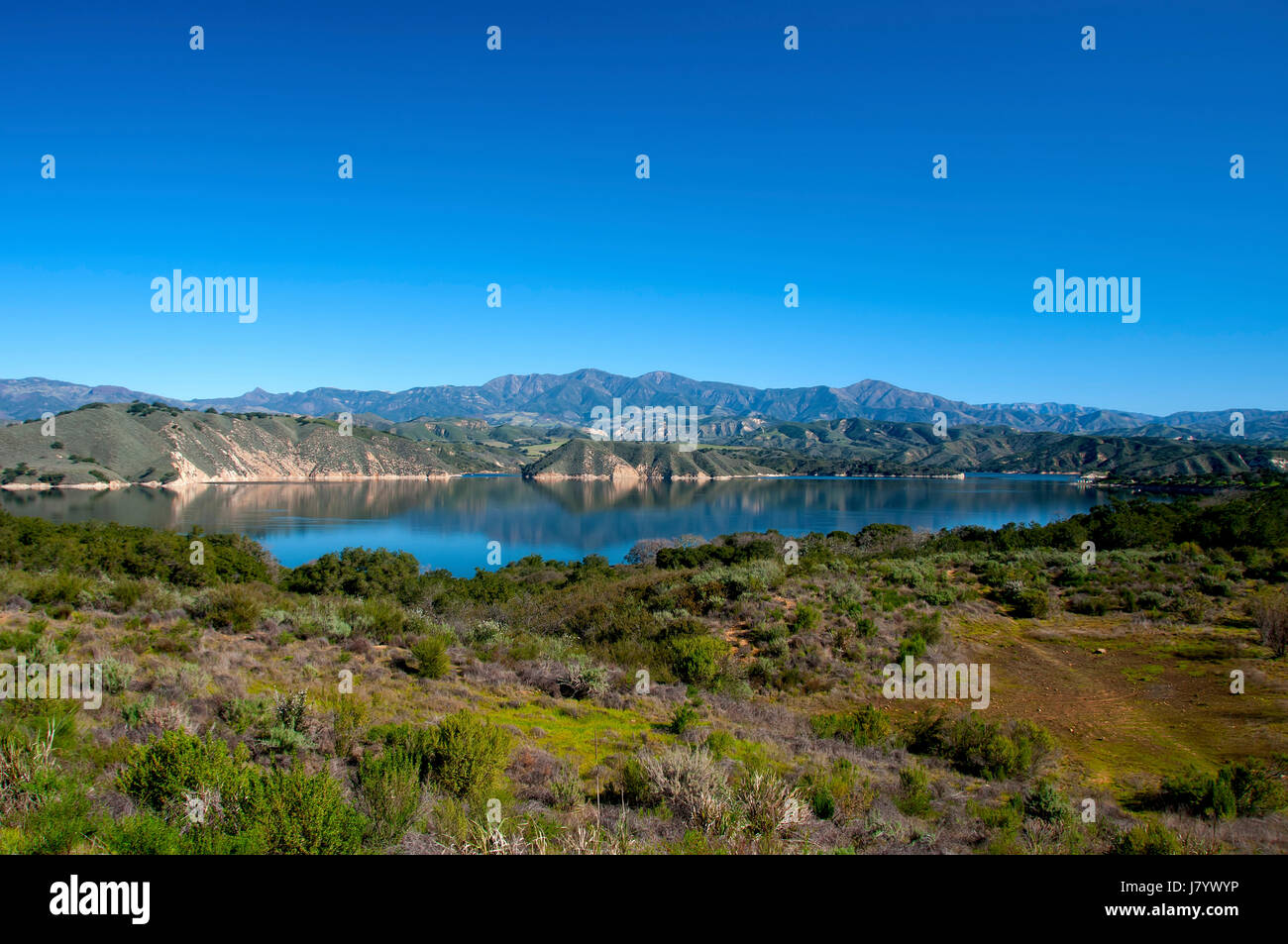 USA Reservoir Baum Usa Blick Blick Blick spähen betrachten sehen Stockfoto