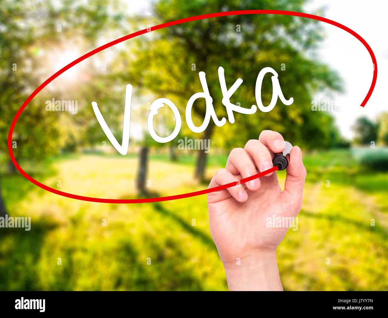 Hand des Mannes Wodka mit schwarzen Balken am Bildschirm zu schreiben. Isoliert auf Natur. Wirtschaft, Technologie, Internet-Konzept. Stock Foto Stockfoto