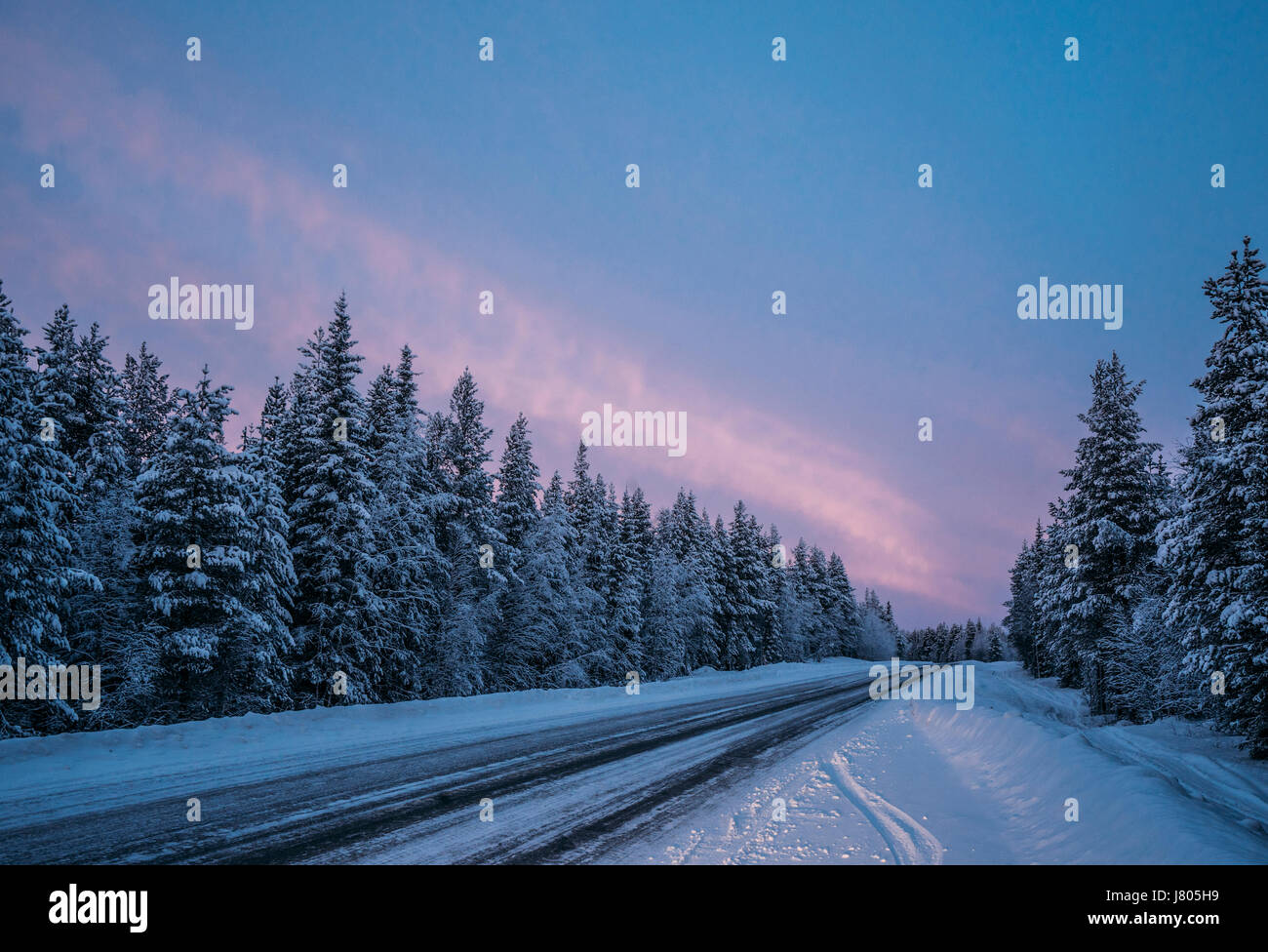 Entfernten Winter Weg durch Schnee bedeckt Waldbäume, Lappland, Finnland Stockfoto