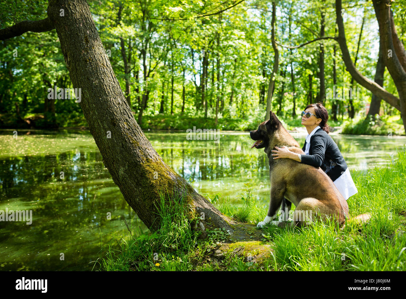 Die Frau verbringt Zeit mit American Akita Hund am Teich Stockfoto