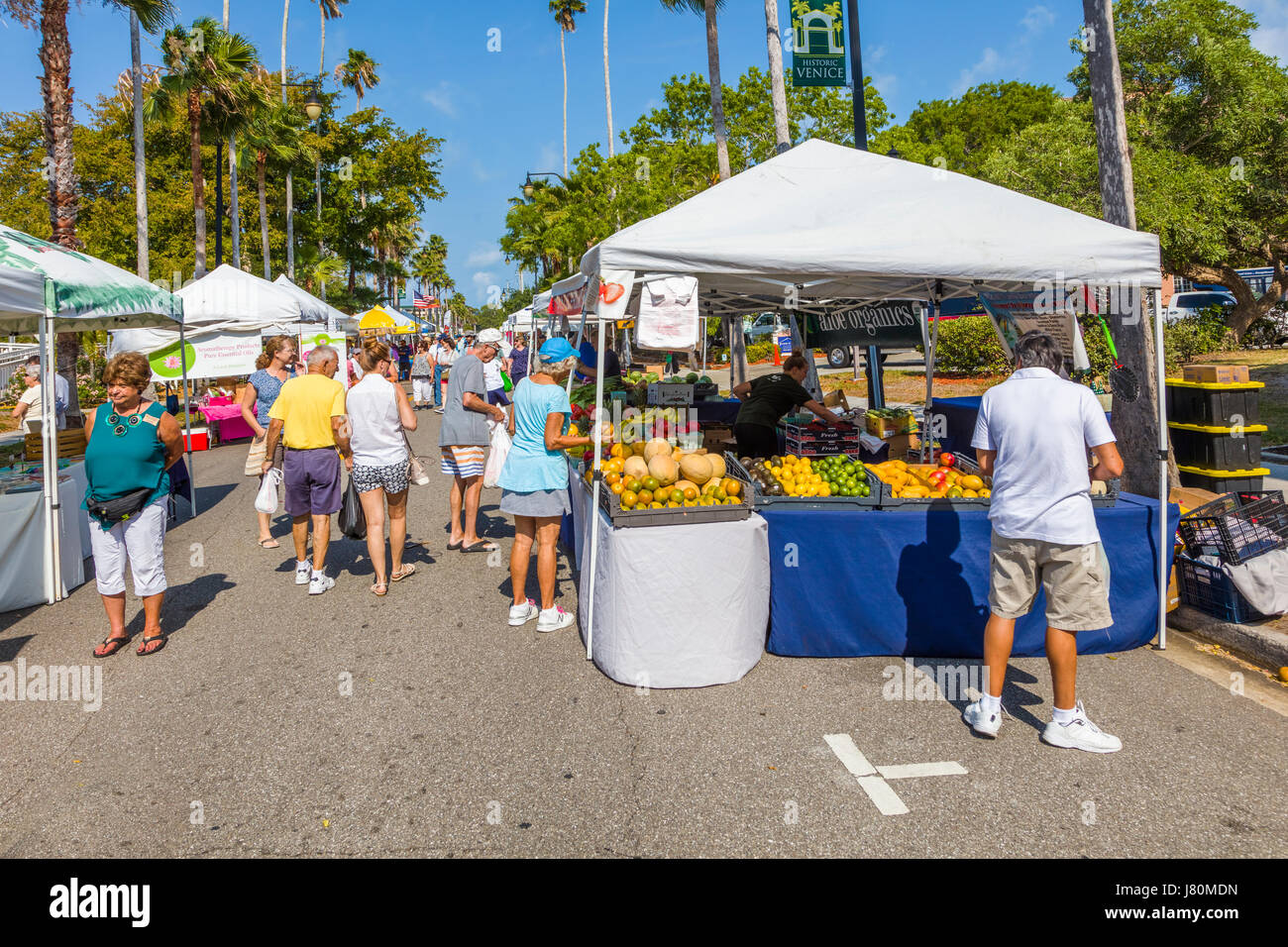 Samstag Morgen im freien Farmers Market in Venice Florida Stockfoto