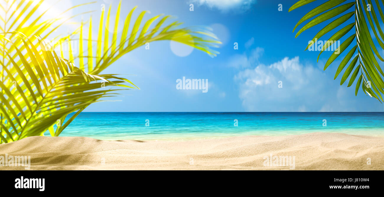 Strand Hintergrund, Palm und Tropic beach Stockfoto